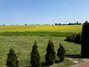 Aussicht aus dem Wohnzimmer