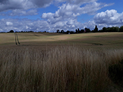 Terrassenaussicht